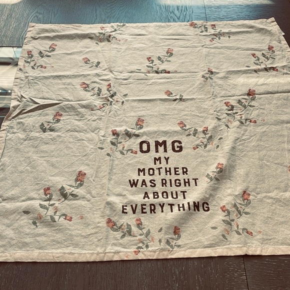 Primitives by Kathy , Funny  captioned Large Dish towel . - Picture 2 of 8